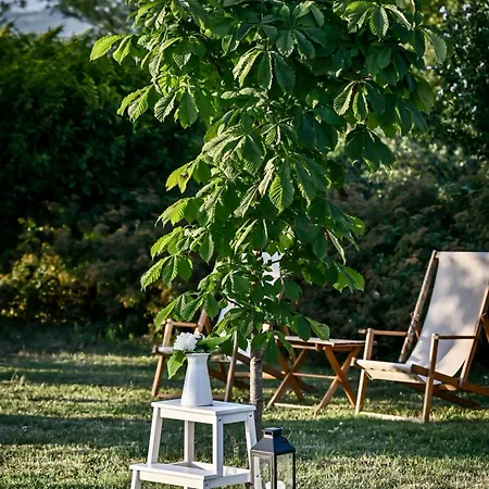 Smart Glamp * Bukovik