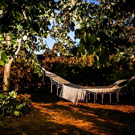 Smart Glamp * Bukovik