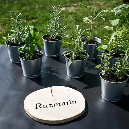 ラグジュアリーテント Smart Glamp