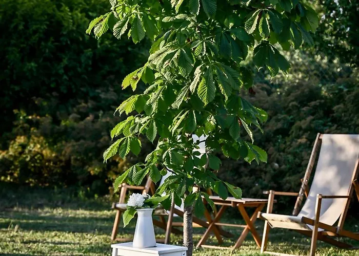 Smart Glamp * Bukovik