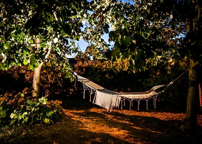 Smart Glamp * Bukovik