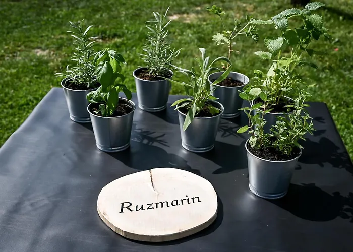 Luxusní stan Smart Glamp